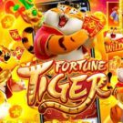 Fortune Tiger